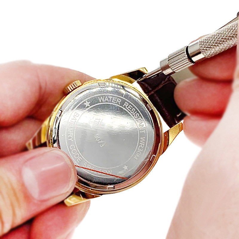 4Pin Replace Watch Strap Sprin - Spring Bar Tool recension och pris
